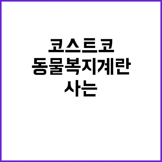 코스트코에서 동물복지 계란 만원에 사는 방법 - 요약