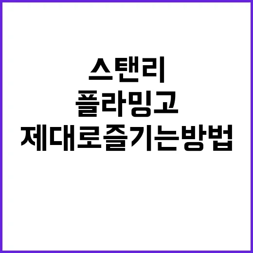스탠리 플라밍고를 제대로 즐기는 방법 - 요약