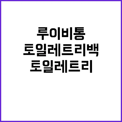 루이비통 토일레트리 백, 제대로 알아보기! - 요약