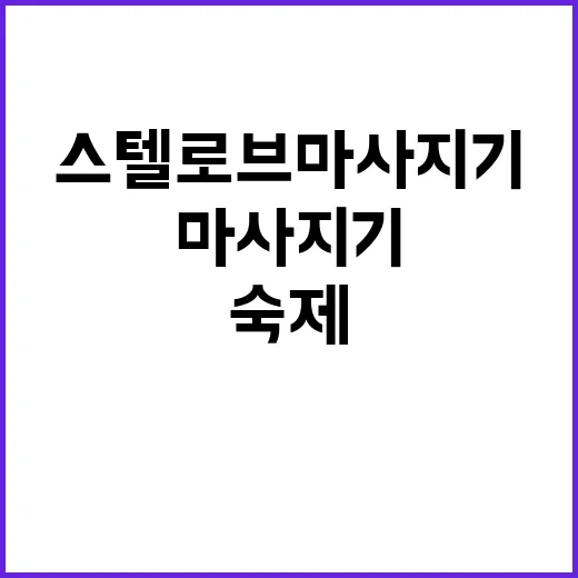 스텔로브 마사지기를 검색해봤더니 보인 작은 브랜드의 진짜 숙제 - 요약