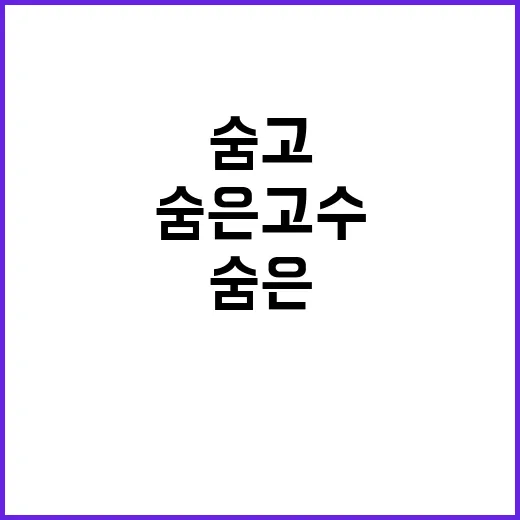 숨고를 다시 써봤더니, ‘숨은 고수’라는 약속이 얼마나 어려운지 보였다 - 요약