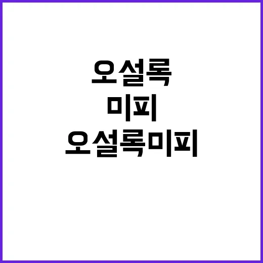 오설록 미피 조합을 보고 브랜드 약속을 다시 생각해봤다 - 요약