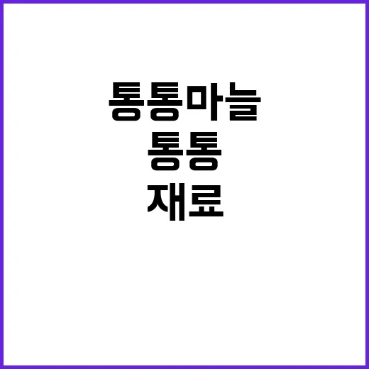 통통마늘이 그냥 재료가 아니라 브랜드처럼 보였던 순간 - 요약