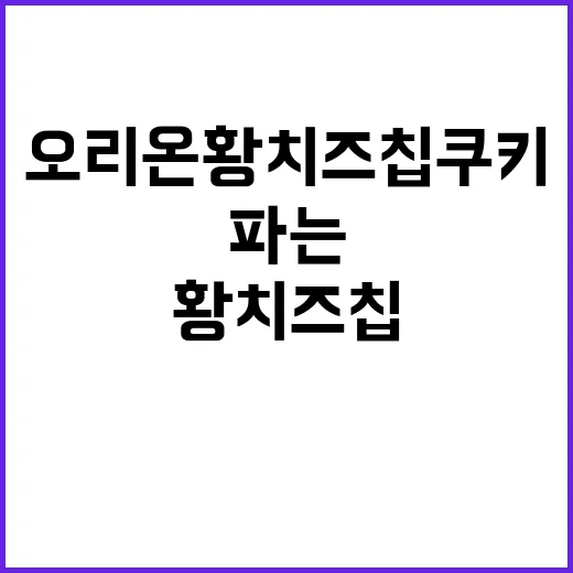 오리온 황치즈칩쿠키를 보며 떠올린, 익숙한 브랜드가 새 맛을 파는 법 - 요약