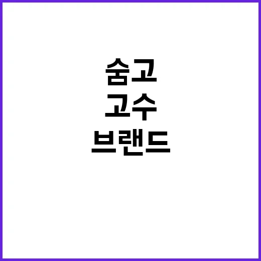 숨고를 다시 눌러봤더니, ‘고수 연결’ 브랜드가 생활 플랫폼이 된 이야기 - 요약