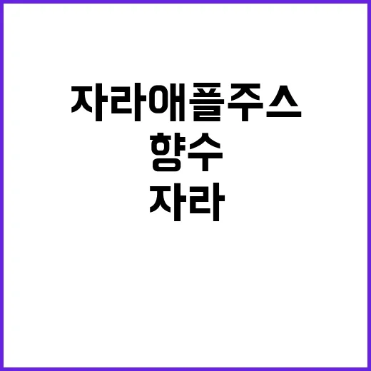 자라 애플주스를 맡아봤더니, 싼 향수가 아니라 영리한 약속이었다 - 요약