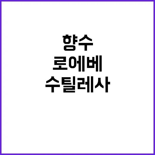 로에베 수틸레사를 맡아봤더니, 조용한 향수가 오래 팔리는 이유 - 요약