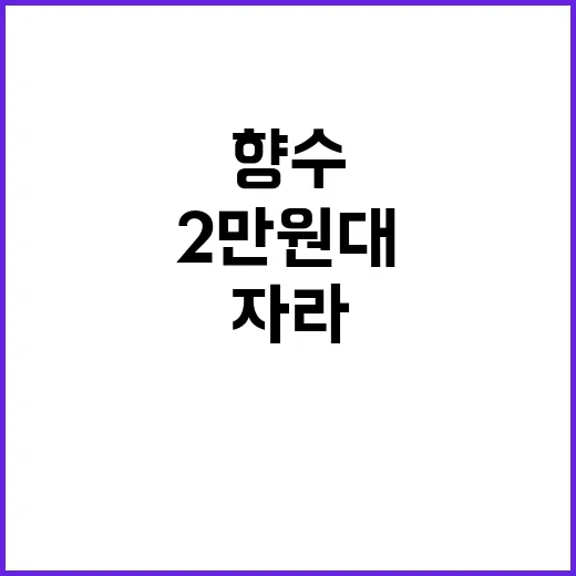 자라 애플주스를 써봤더니, 2만원대 향수가 만든 ‘기분 좋은 착각’의 진짜 이야기 - 요약