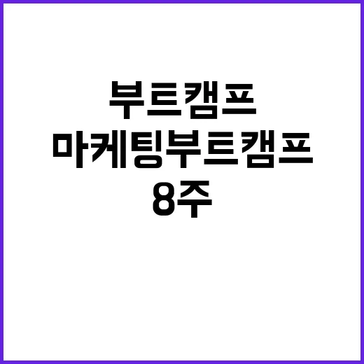 마케팅부트캠프를 옆에서 지켜봤더니, 브랜드 감각은 정말 8주 만에 생길까 - 요약