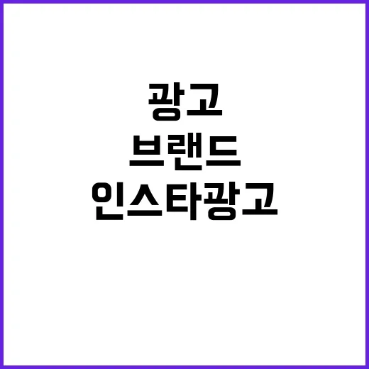인스타광고를 12년째 뜯어봤더니, 결국 남는 브랜드와 사라지는 브랜드의 차이 - 요약