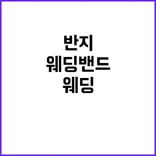 웨딩밴드 브랜드를 12년 지켜봤더니, 진짜 갈리는 건 반지보다 약속이었다 - 요약
