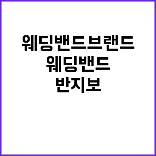 웨딩밴드브랜드를 고르다 보니 보인, 반지보다 오래 남는 약속의 차이 - 요약