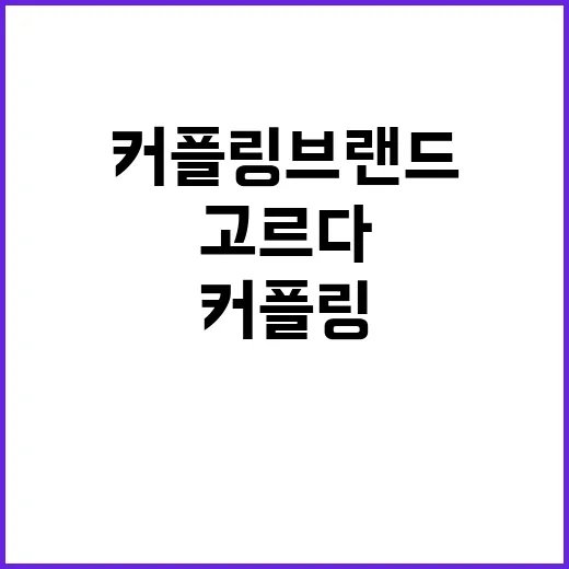 커플링브랜드를 고르다 보니 보인, 사랑을 파는 브랜드의 진짜 이야기 - 요약