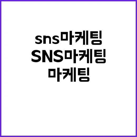 12년 동안 SNS마케팅을 지켜봤더니, 결국 살아남은 브랜드들의 진짜 이야기 - 요약