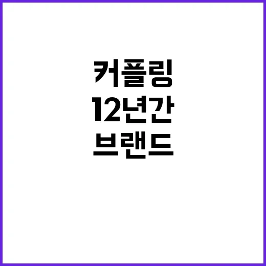커플링브랜드를 12년간 지켜봤더니, 오래 남은 곳엔 공통점이 있었다 - 요약