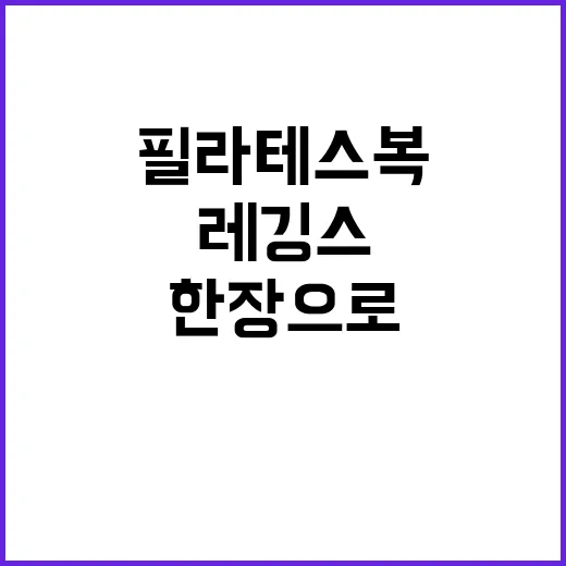 필라테스복브랜드들이 레깅스 한 장으로 약속을 팔아온 진짜 이야기 - 요약