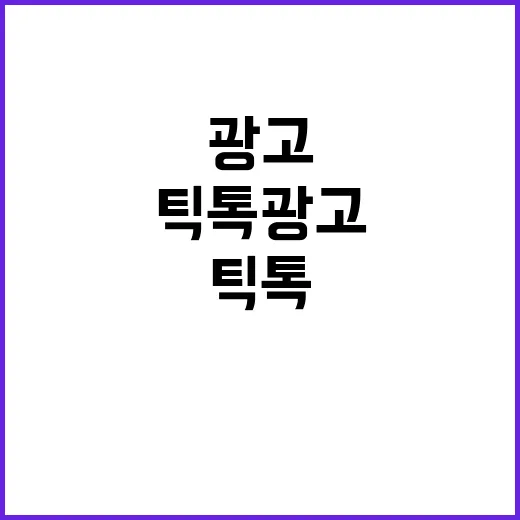 틱톡광고를 몇 번 집행해봤더니, 브랜드의 민낯이 먼저 보였다 - 요약