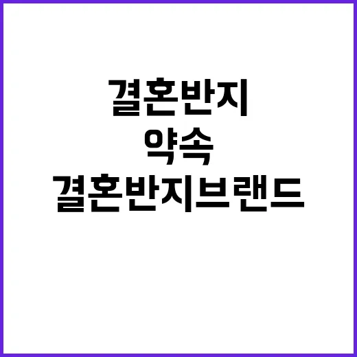 결혼반지브랜드를 고르다 보니 보인 약속의 진짜 이야기 - 요약