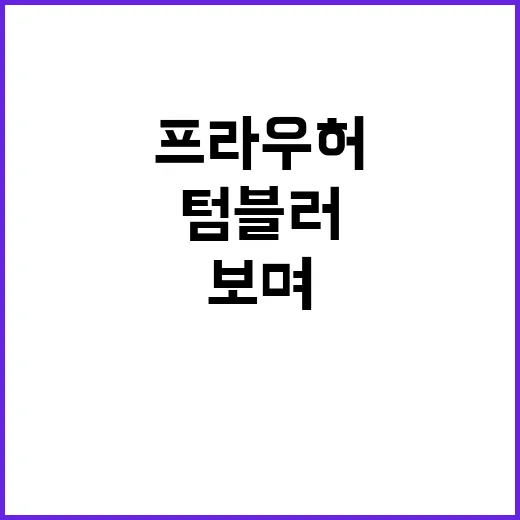 프라우허 텀블러를 보며 다시 생각한, 작은 브랜드가 약속을 파는 방식 - 요약