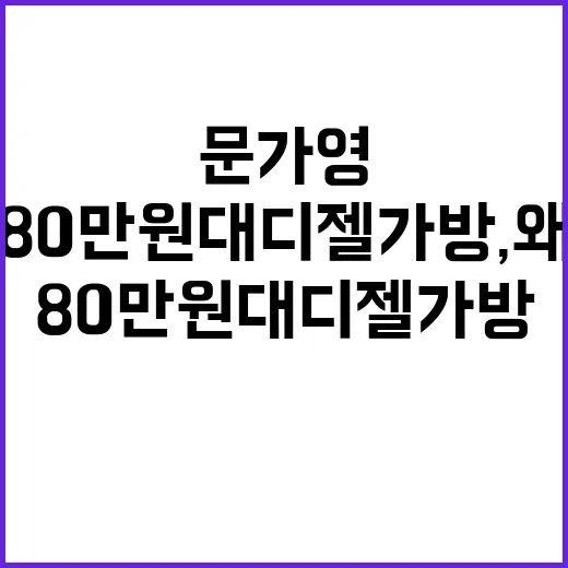 문가영이 든 80만원대 디젤 가방, 왜 갑자기 다들 찾게 됐을까 - 요약