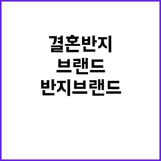 결혼반지브랜드를 고르다 보면 보이는 사랑의 가격표와 약속의 진짜 이야기 - 요약