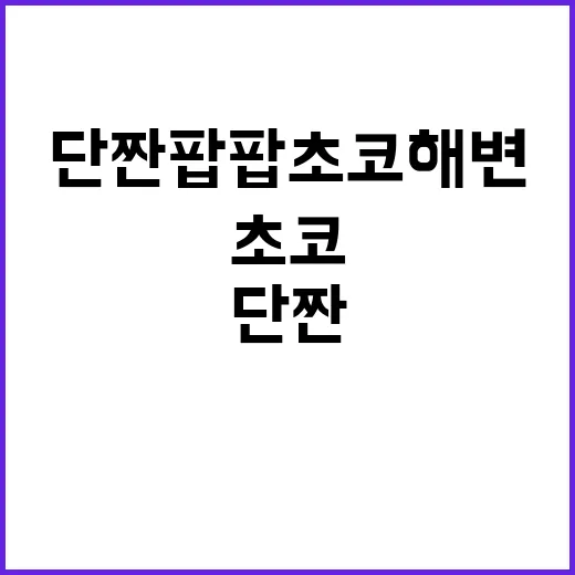 단짠팝팝초코해변을 브랜드로 상상해봤더니 보인 것들 - 요약