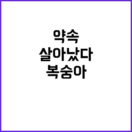 복숭아 보관법을 바꿔봤더니, 맛보다 먼저 약속이 살아났다 - 요약