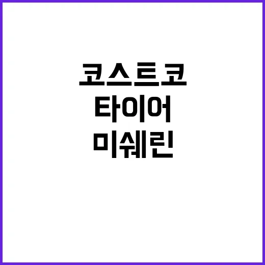 코스트코 타이어 행사 기다려봤더니, 미쉐린·한국·금호가 다르게 보였다 - 요약
