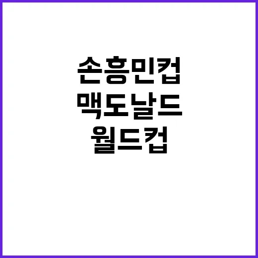 맥도날드 월드컵 손흥민 컵, 직접 사려다 알게 된 진짜 구매 방법 - 요약