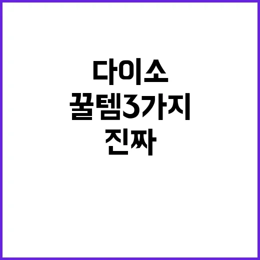 다이소에서 가성비 꿀템 3가지를 골라봤더니, 진짜 강한 건 가격보다 ‘시도하게 만드는 힘’이었다 - 요약