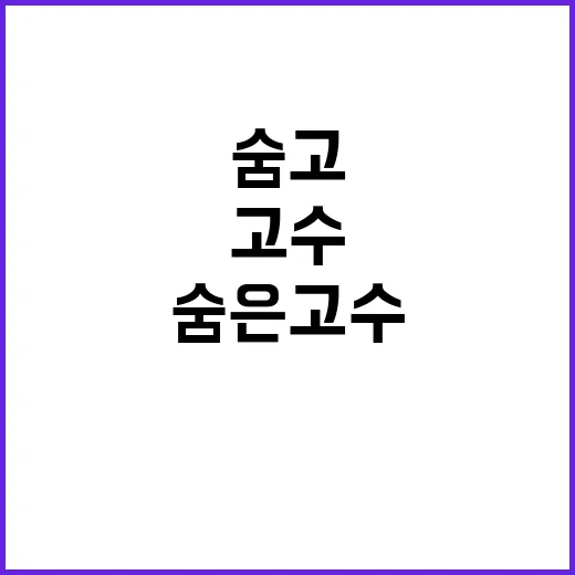 숨고를 써보면 보이는, ‘숨은 고수’라는 약속의 진짜 이야기 - 요약