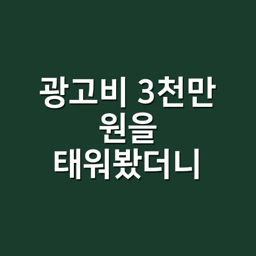 광고비 3천만 원을 태워봤더니, 온라인마케팅의 진짜 실력이 보였다 - 요약