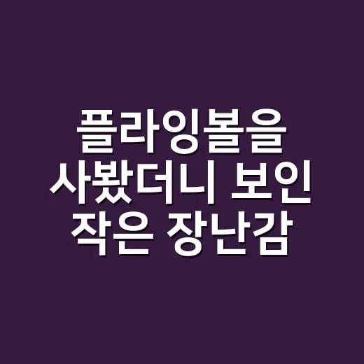 플라잉볼을 사봤더니 보인 작은 장난감 브랜드의 진짜 승부 - 요약