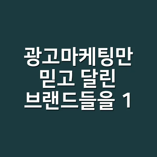 광고마케팅만 믿고 달린 브랜드들을 12년간 지켜봤더니 - 요약