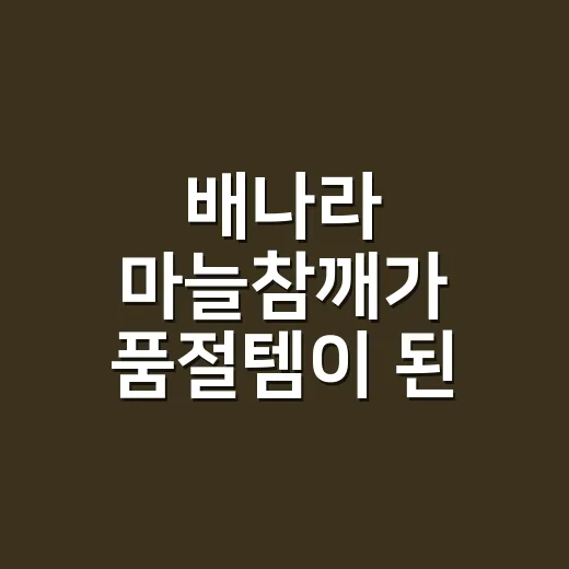 배나라 마늘참깨가 품절템이 된 뒤, 작은 조미료 브랜드의 진짜 이야기를 떠올렸다 - 요약