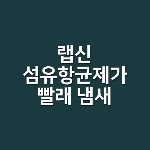 랩신 섬유항균제가 빨래 냄새 시장을 비집고 들어간 진짜 이야기 - 요약