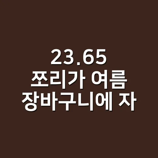 23.65 쪼리가 여름 장바구니에 자꾸 보였던 진짜 이야기 - 요약