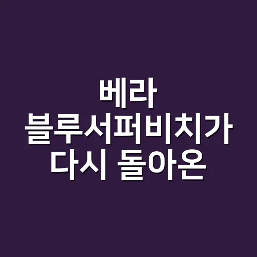 베라 블루서퍼비치가 다시 돌아온 이유를 브랜드 기획자 눈으로 봤더니 - 요약