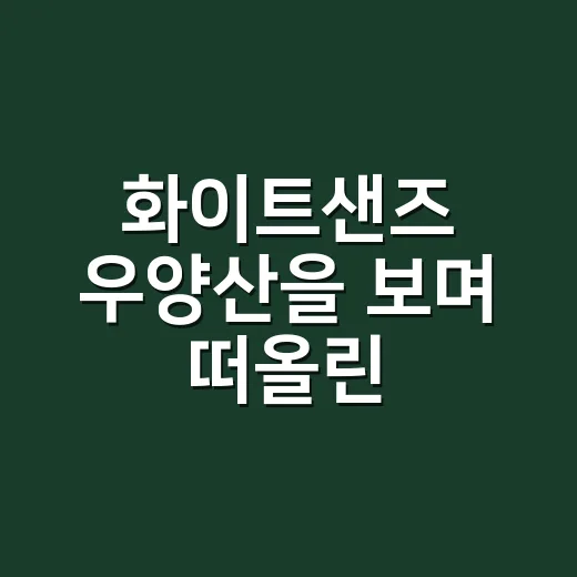 화이트샌즈 우양산을 보며 떠올린, 작은 브랜드가 여름을 파는 방식 - 요약