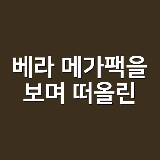 베라 메가팩을 보며 떠올린, 아이스크림 브랜드가 크게 파는 법 - 요약