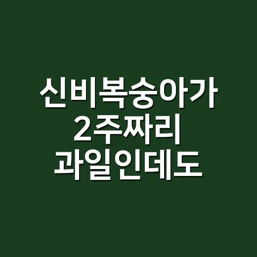 신비복숭아가 2주짜리 과일인데도 사람을 줄 세운 진짜 이야기 - 요약