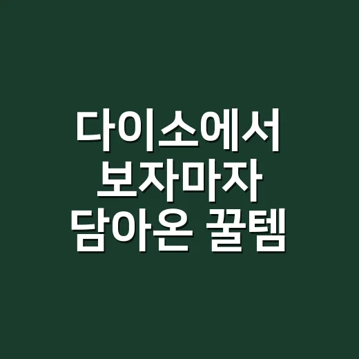 다이소에서 보자마자 담아온 꿀템 3가지, 싸다고 다 같은 물건은 아니었다 - 요약
