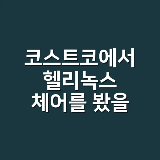 코스트코에서 헬리녹스 체어를 봤을 때, 브랜드 약속이 흔들리는 소리가 났다 - 요약