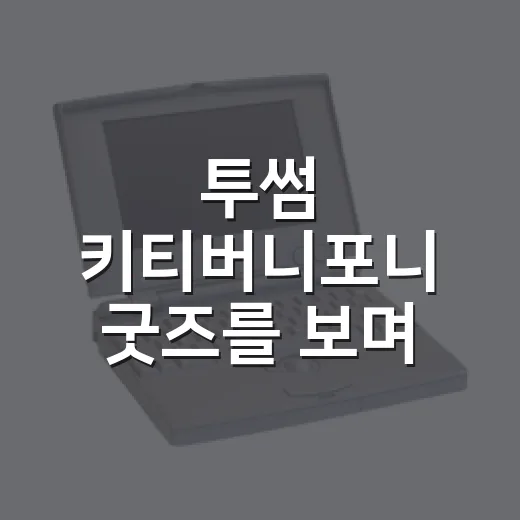 투썸 키티버니포니 굿즈를 보며 떠올린 카페 브랜드의 진짜 승부 - 요약