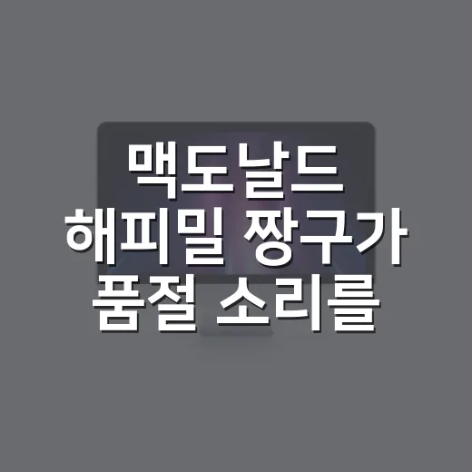맥도날드 해피밀 짱구가 품절 소리를 만든 진짜 이야기 - 요약