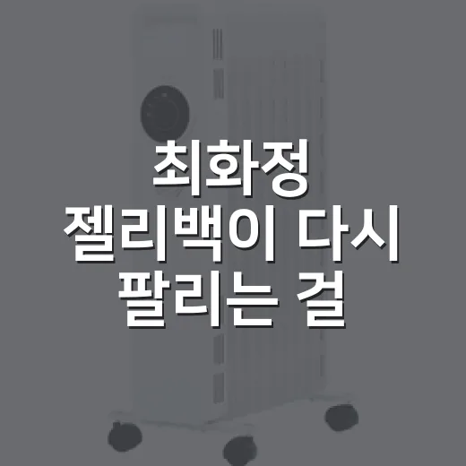 최화정 젤리백이 다시 팔리는 걸 보며 떠올린, 유행보다 오래가는 브랜드 약속 - 요약