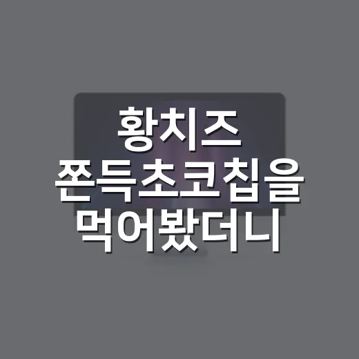 황치즈 쫀득초코칩을 먹어봤더니, 이 조합이 왜 계속 기억나는지 알겠더라 - 요약