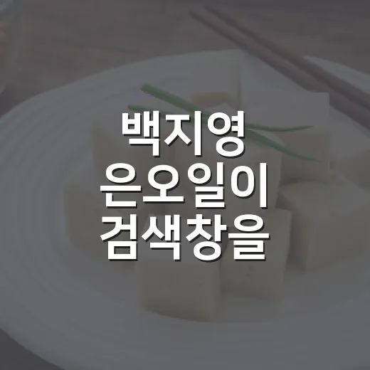 백지영 은오일이 검색창을 점령한 진짜 이야기 - 요약