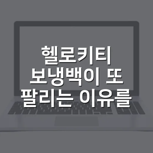 헬로키티 보냉백이 또 팔리는 이유를 브랜드 기획자 눈으로 봤더니 - 요약