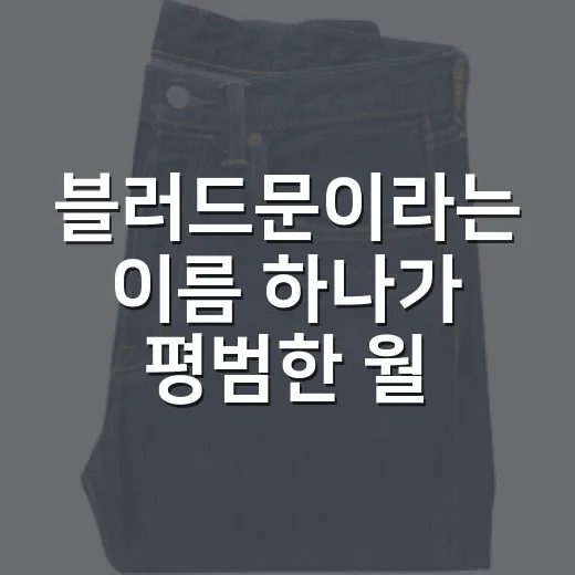 블러드문이라는 이름 하나가 평범한 월식을 사건으로 바꾼 이야기 - 요약